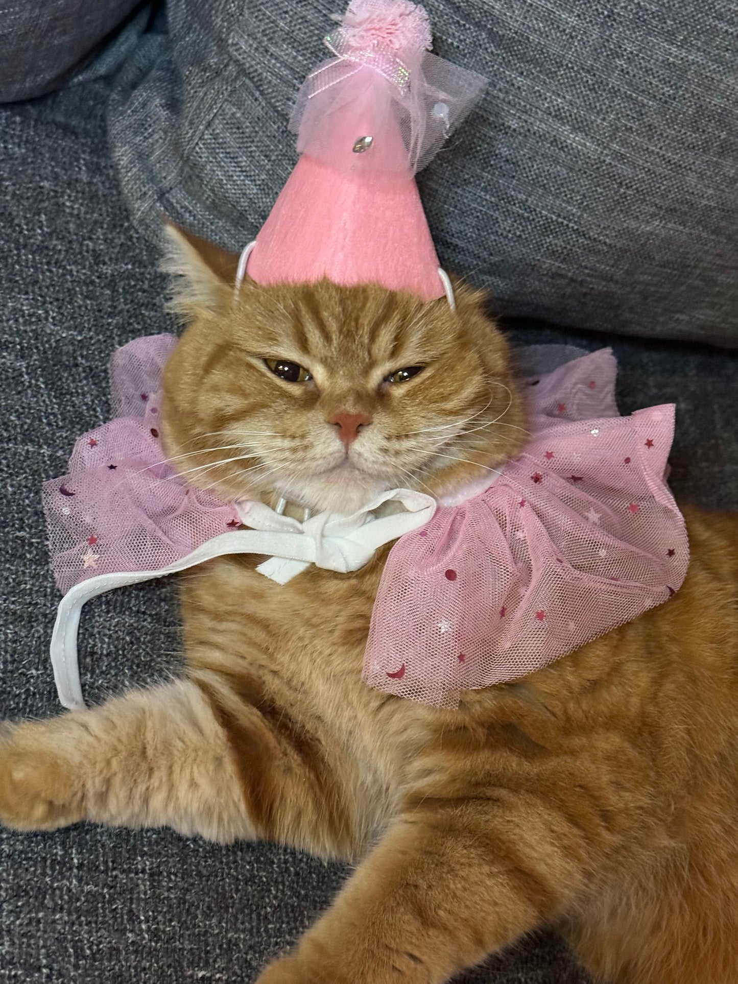 Cat Birthday Set - Pink