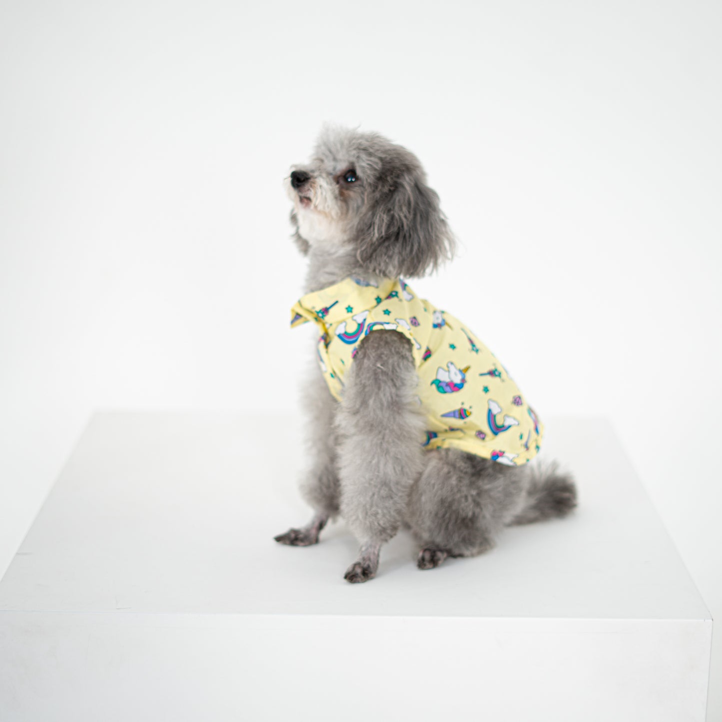 Unicorn Shirt Yellow