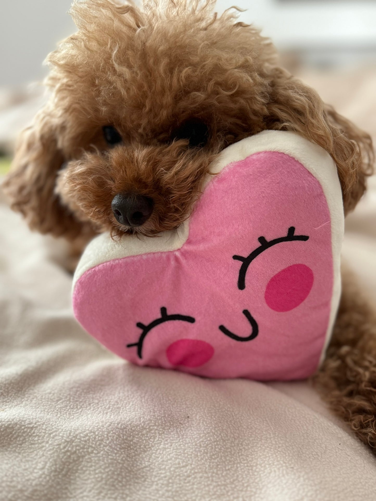 Pink Heart toy