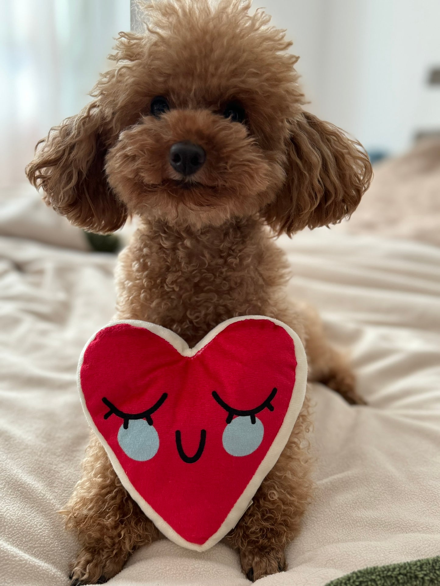 Red Heart Toy