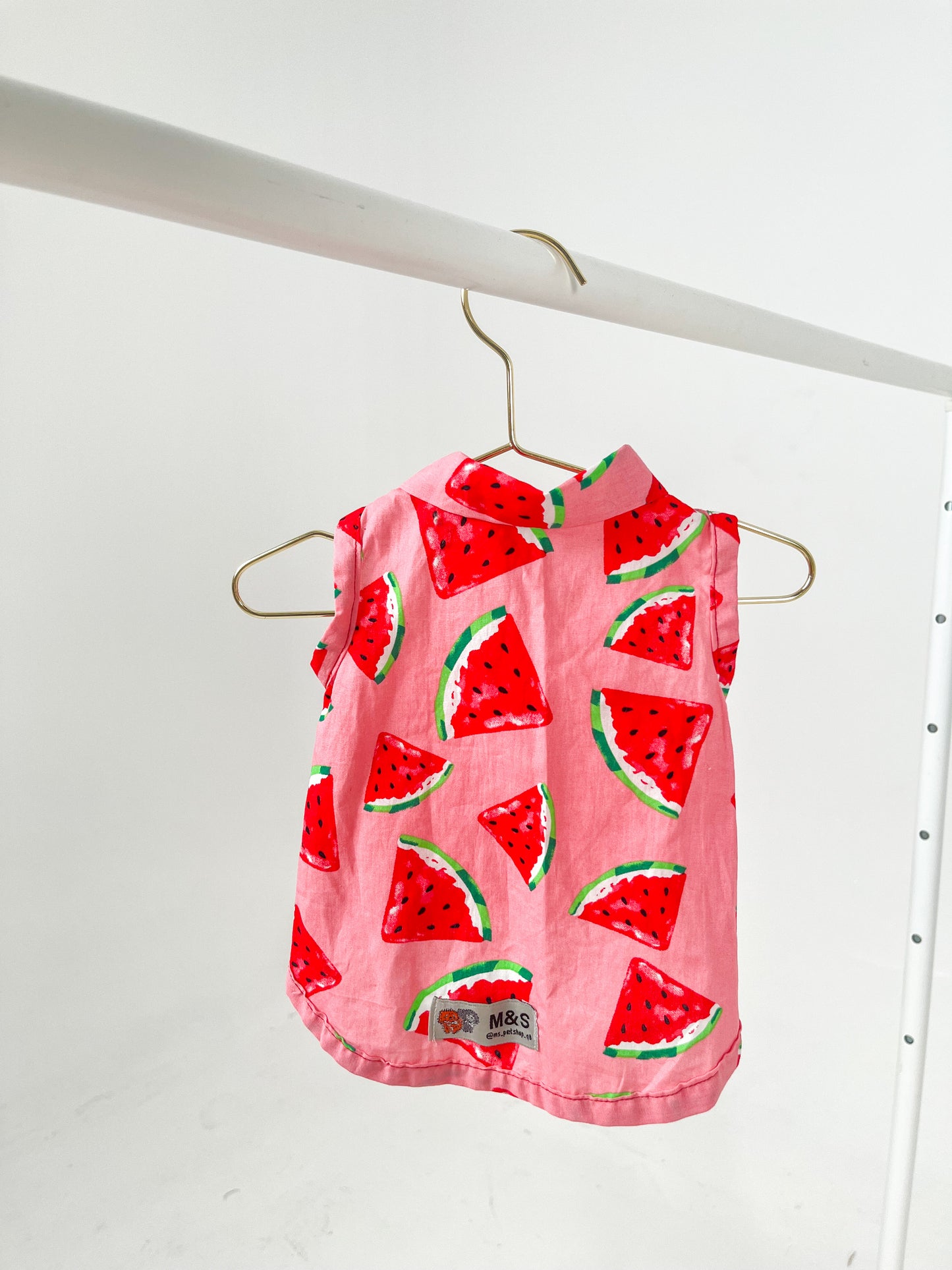 Pink Melon