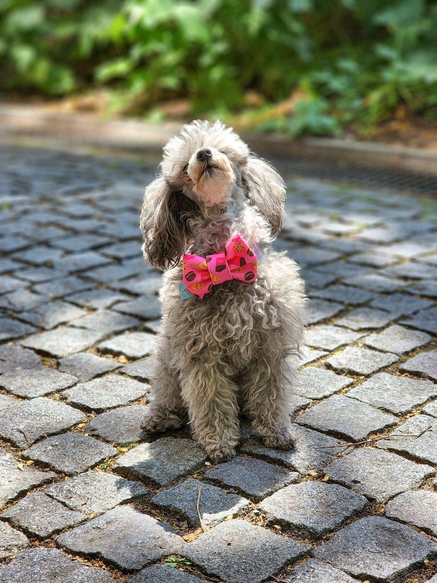 Crunchy Love Bowtie