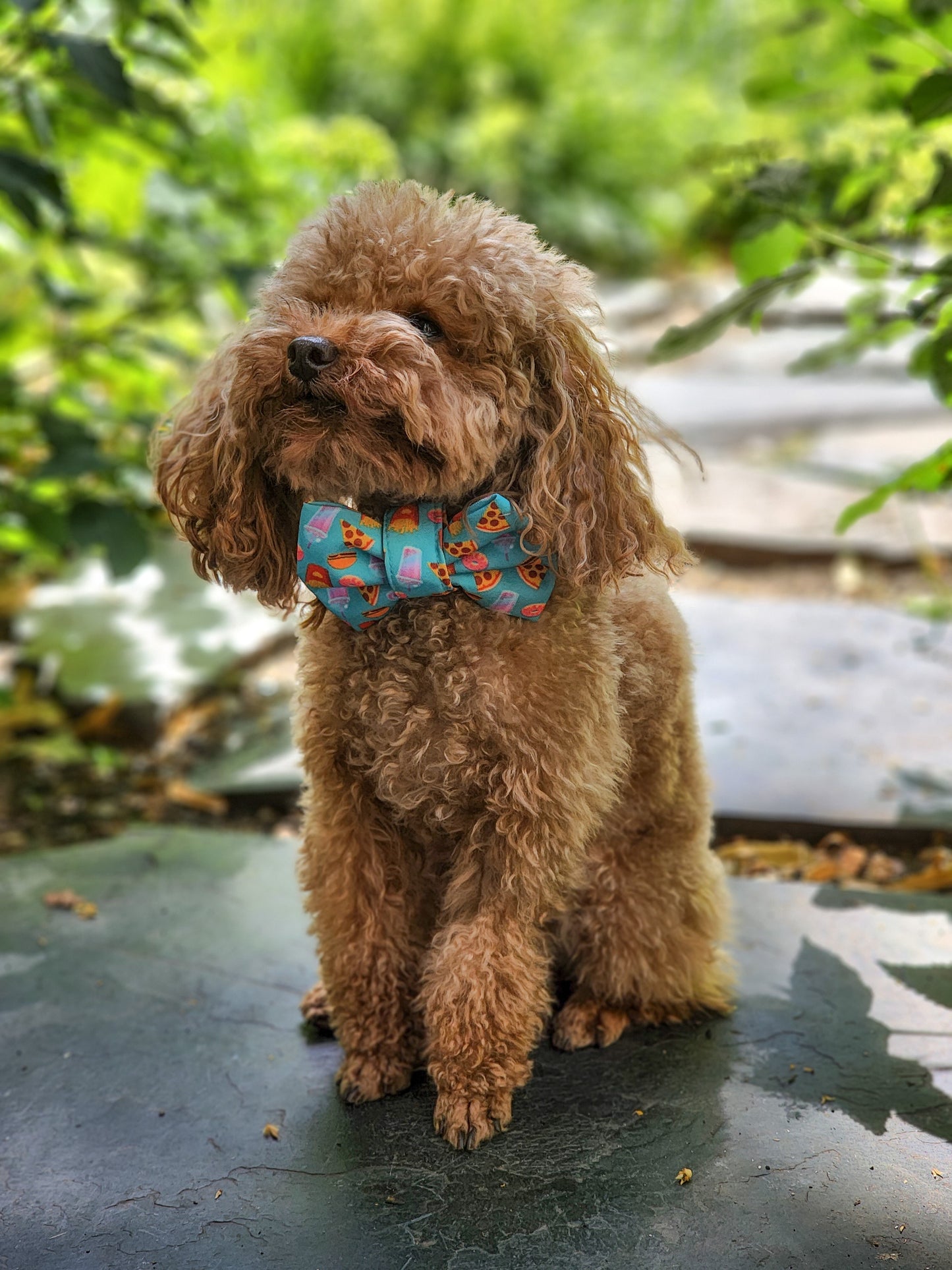 Feeling Guilty Bowtie