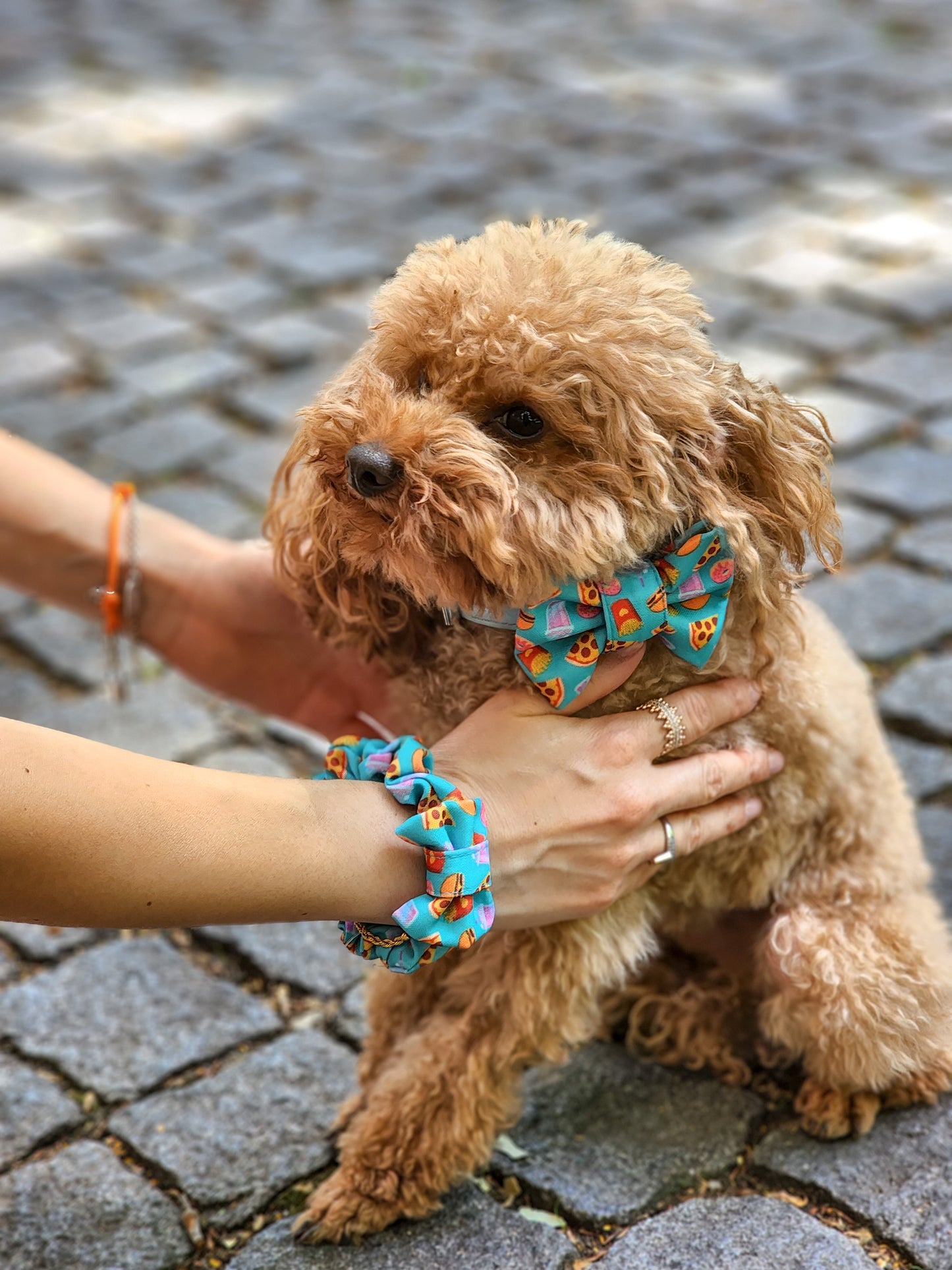 Feeling Guilty Bowtie