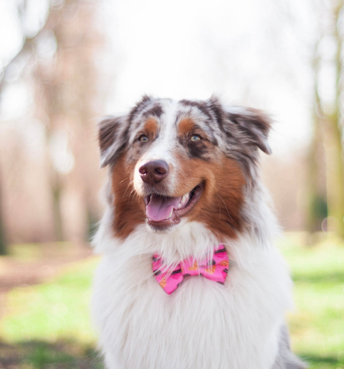 Crunchy Love Bowtie