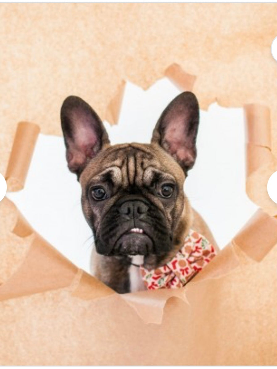 Gingerbread Bowtie