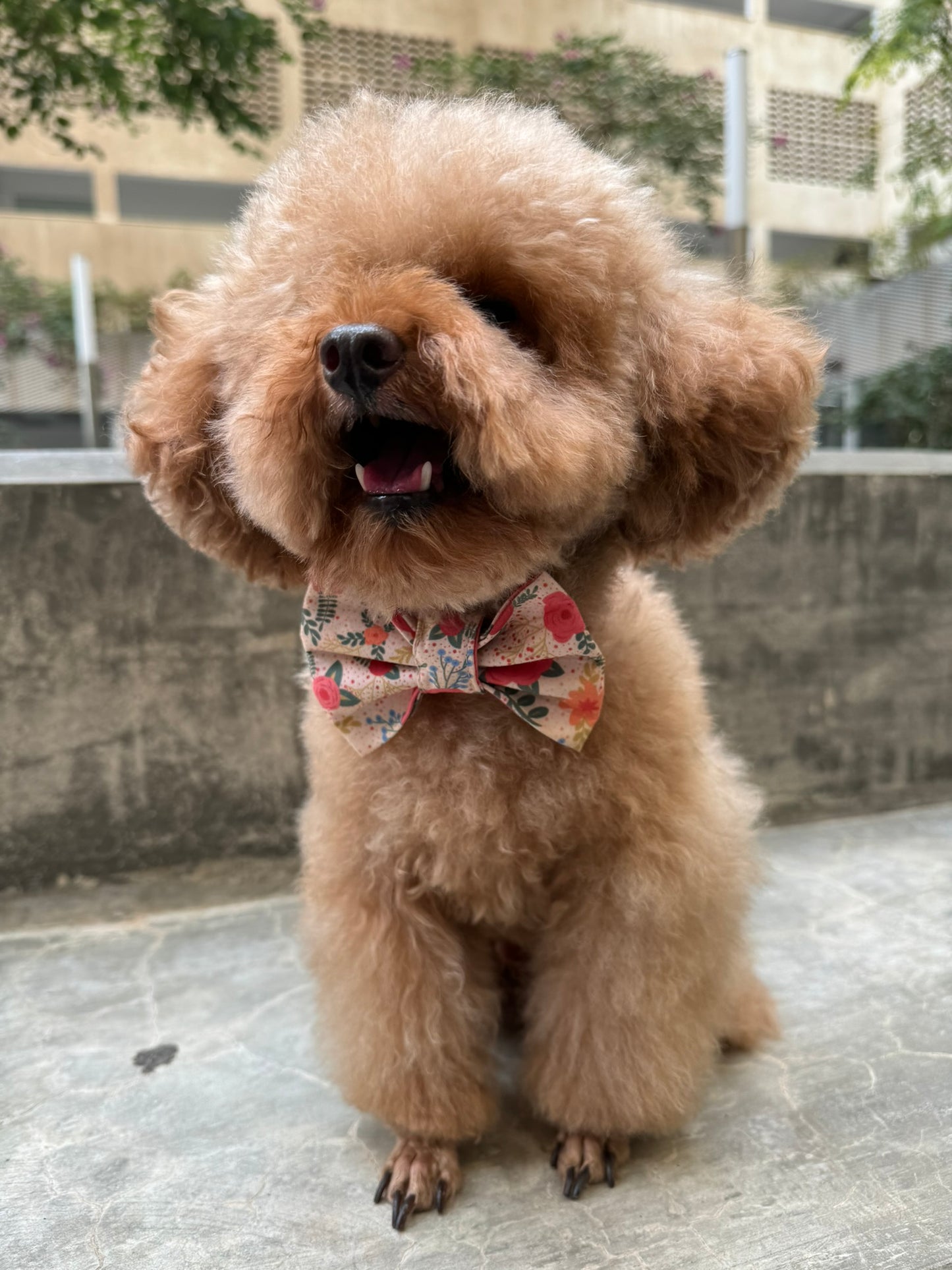 Spring Flower Bowtie