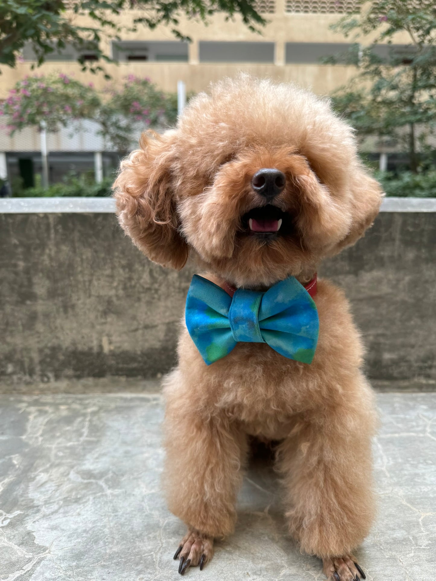 Blue Tie Dye Bowtie