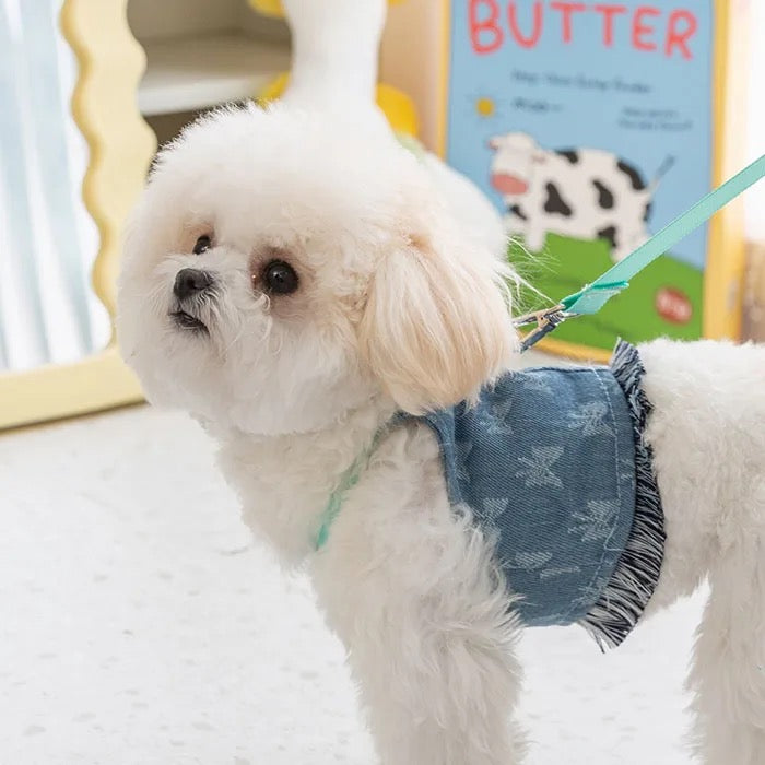 Jeans Harness & Leash Tiffani