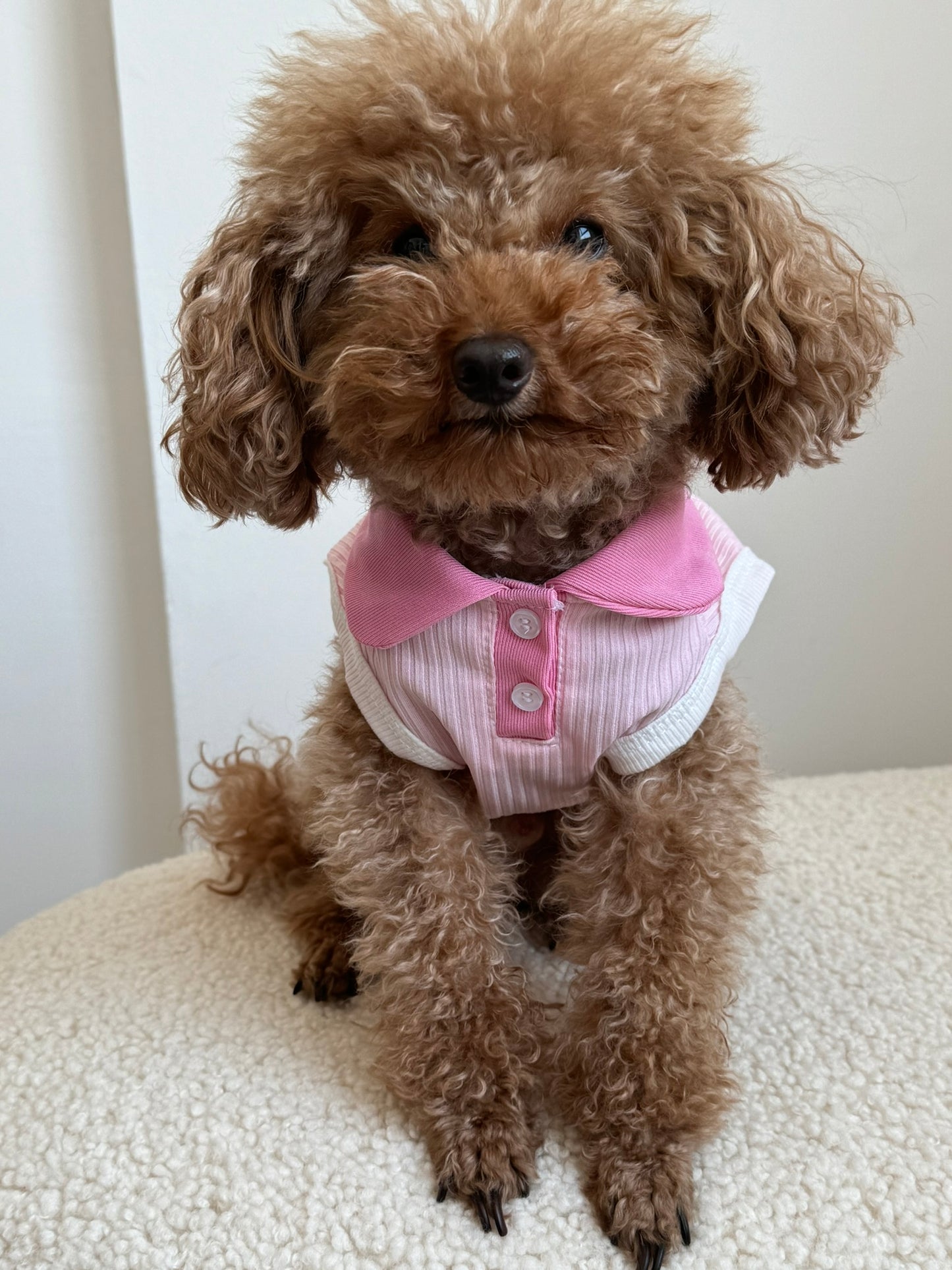 Pink Polo
