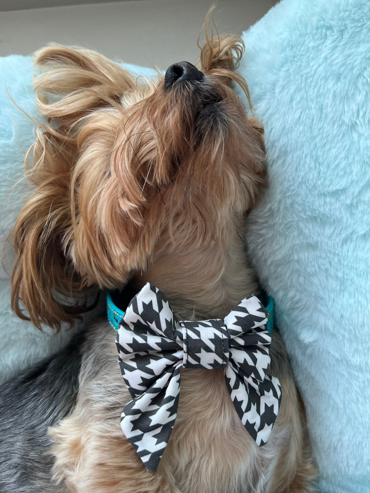 White & Black Bowtie