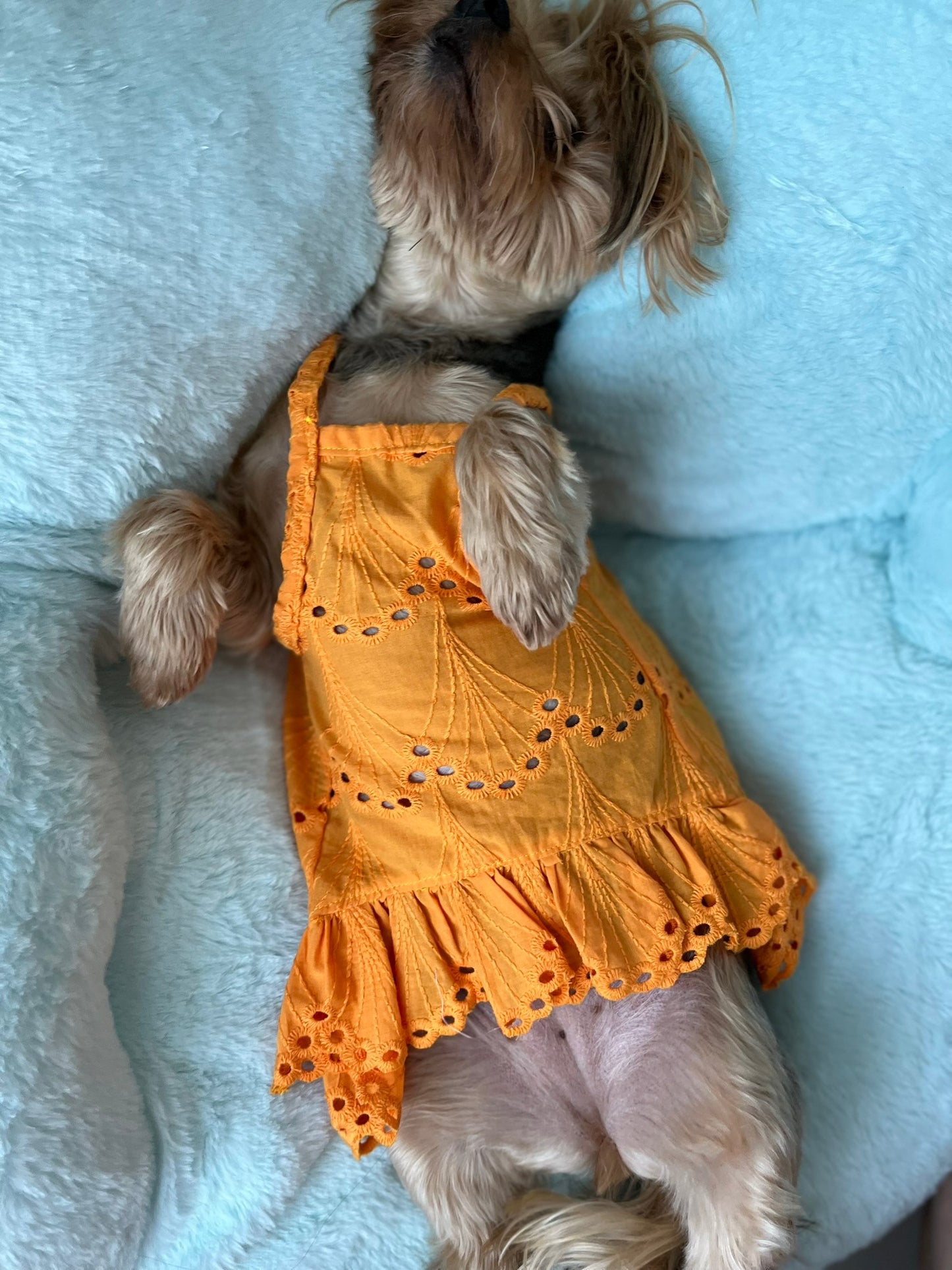 Orange Dress
