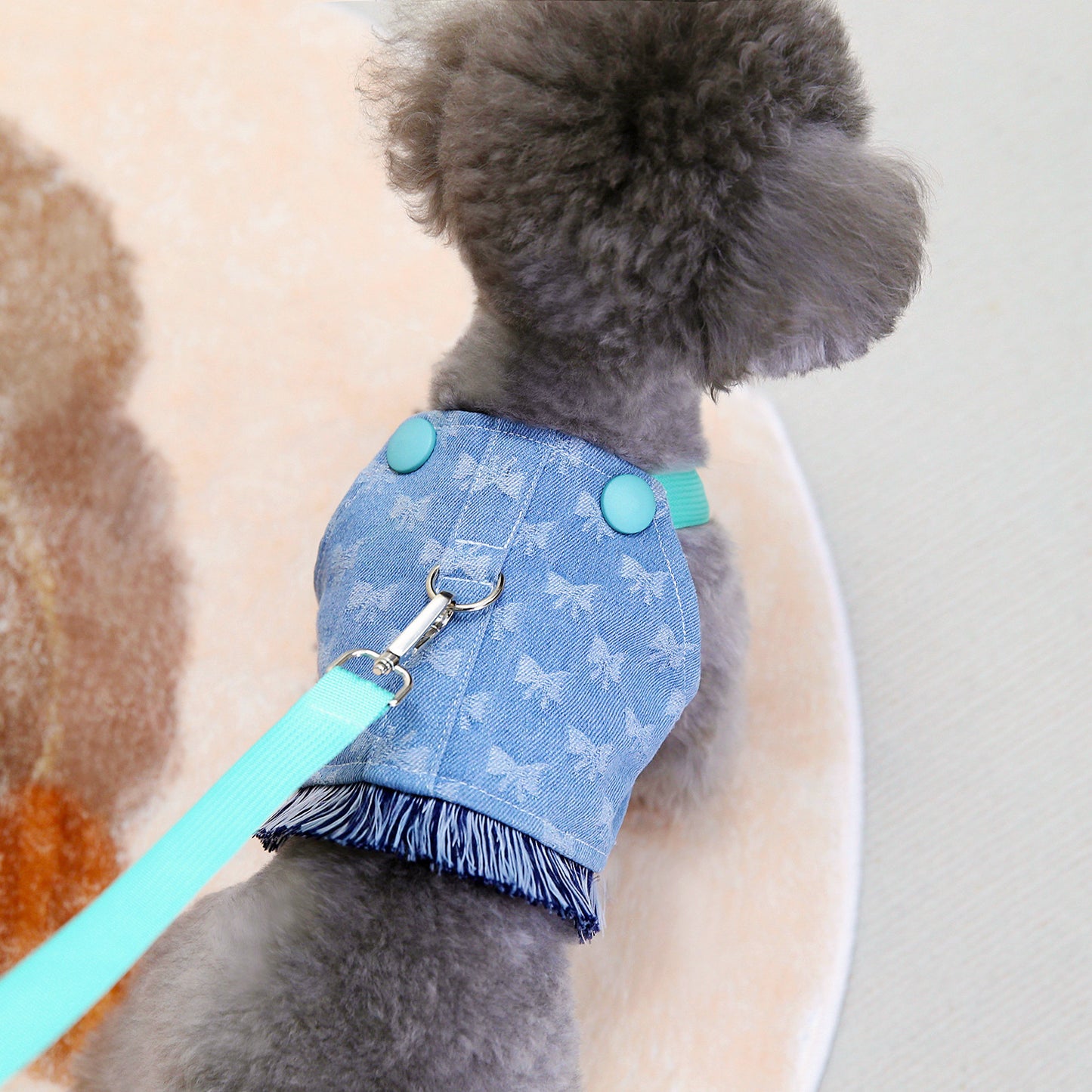 Jeans Harness & Leash Tiffani