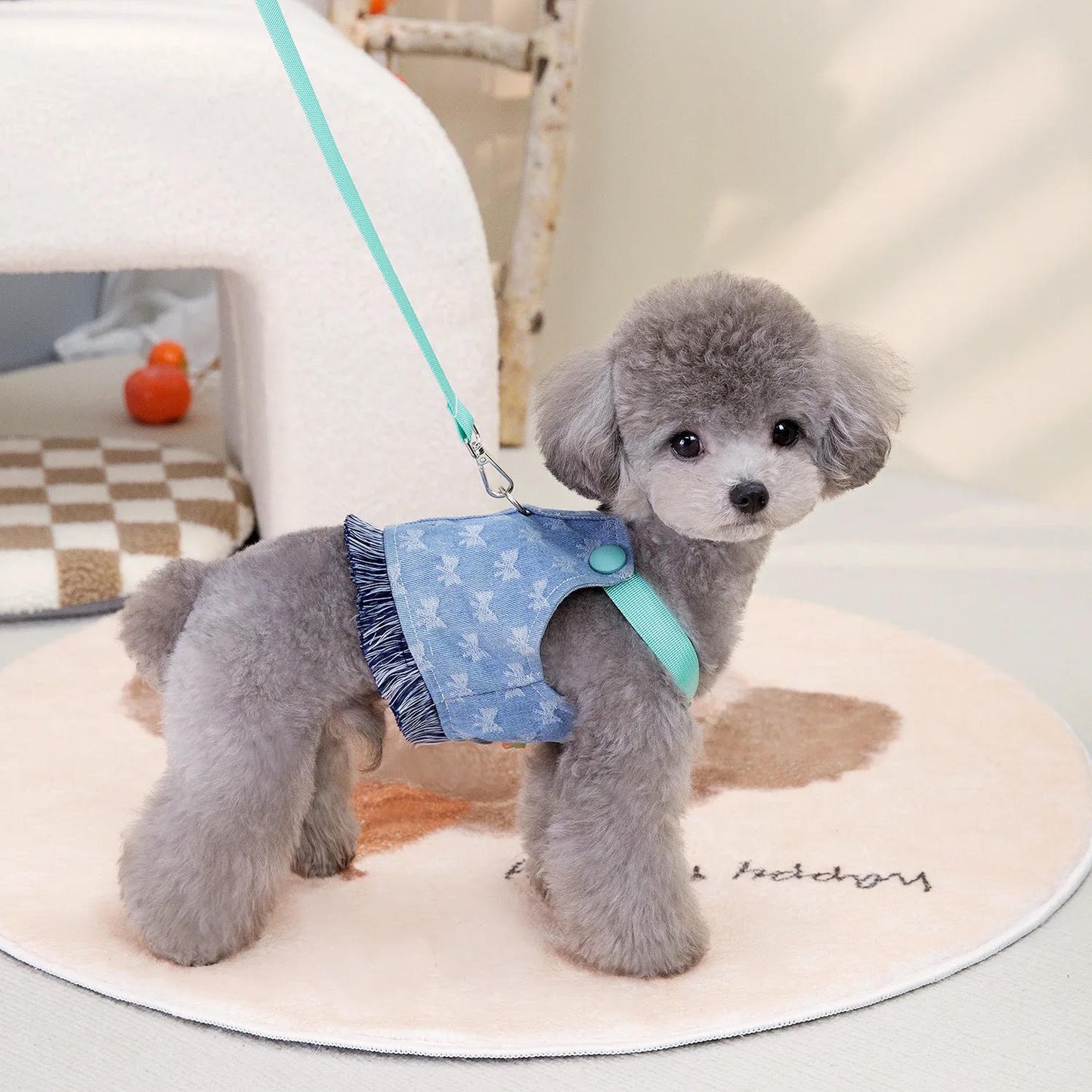 Jeans Harness & Leash Tiffani