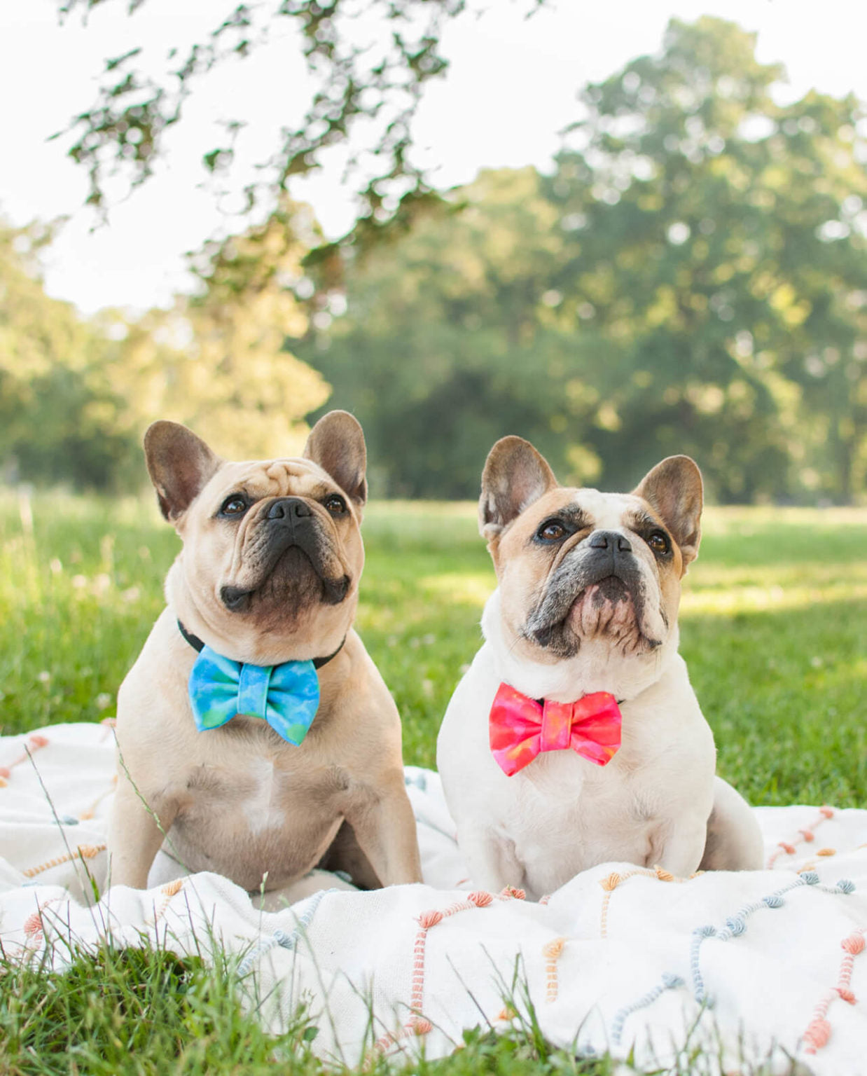 Red Tie Dye Bowtie