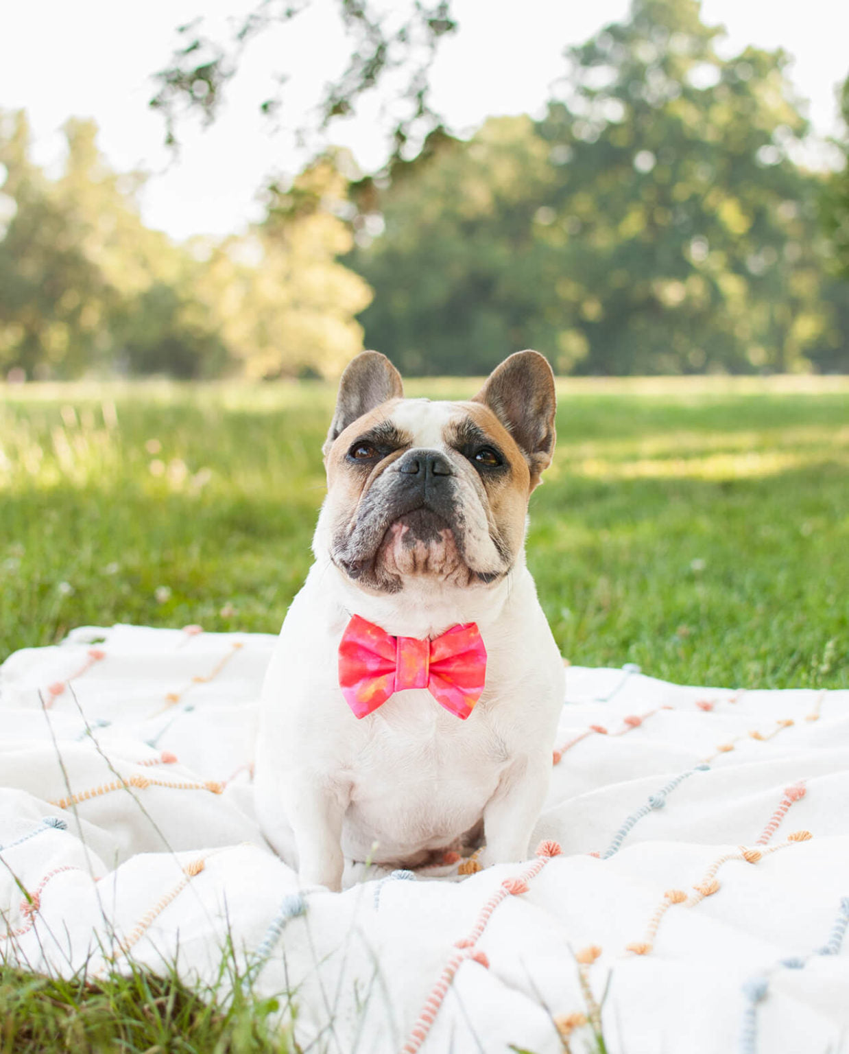 Red Tie Dye Bowtie