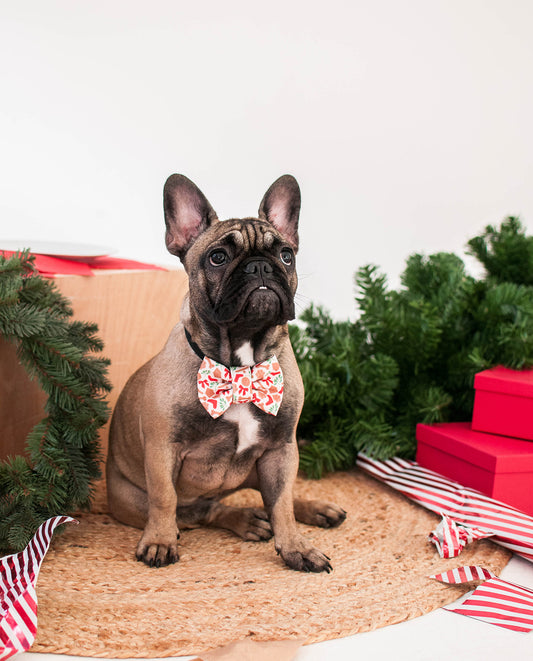 Gingerbread Bowtie