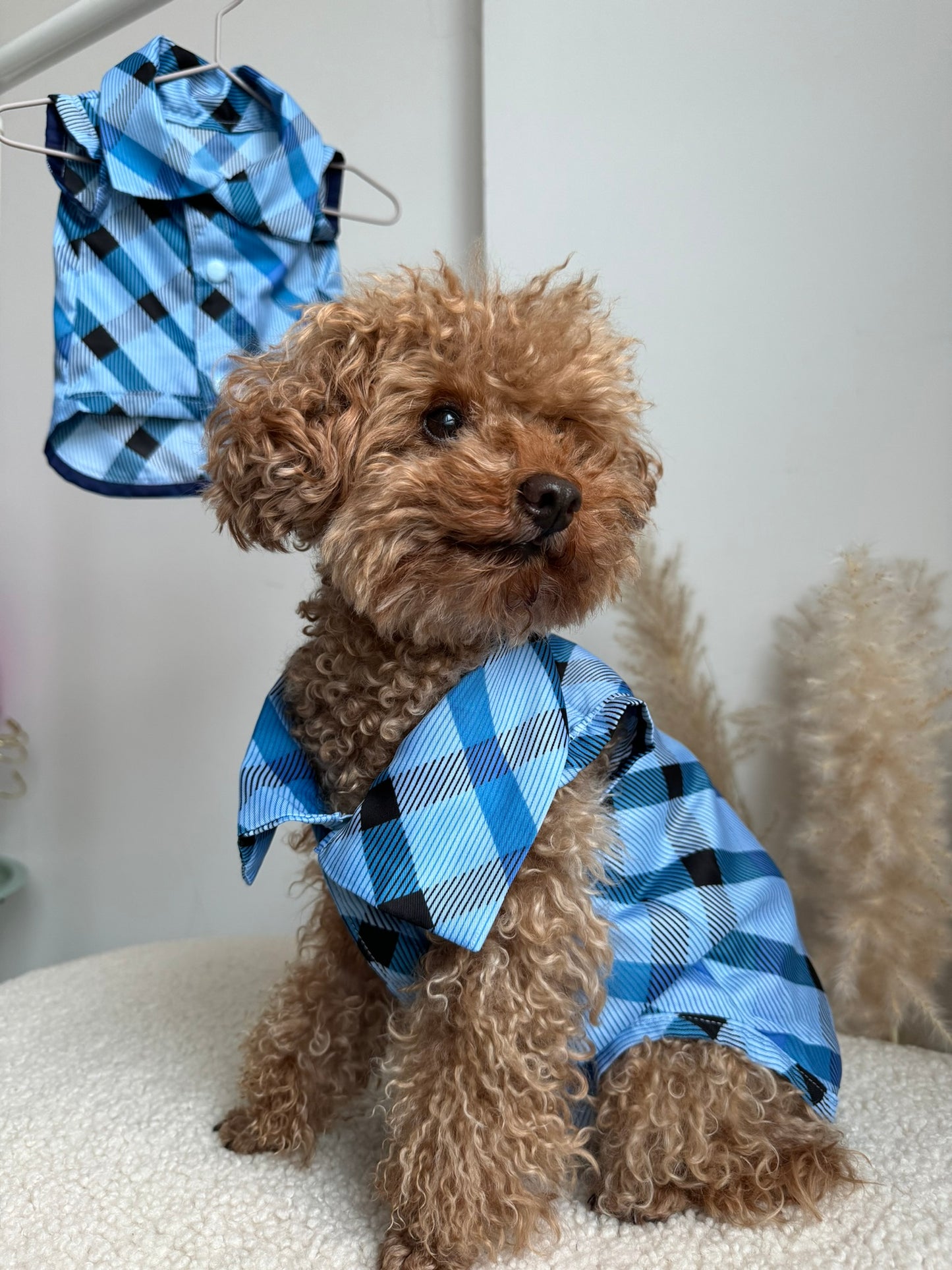 Blue Silk Shirt