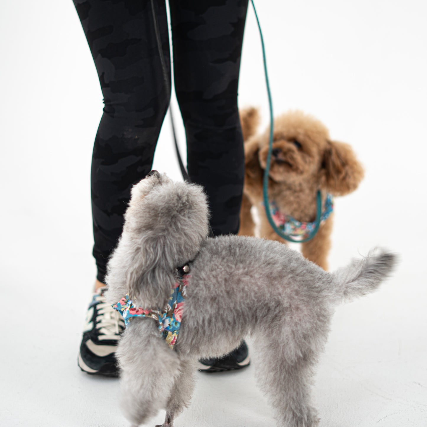 Flower Harness Jacket