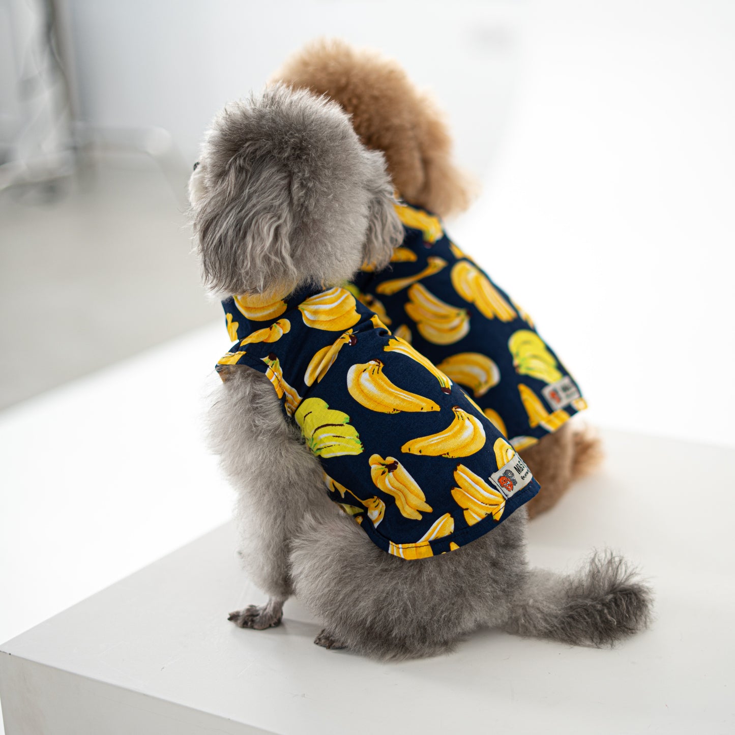 Banana Shirt