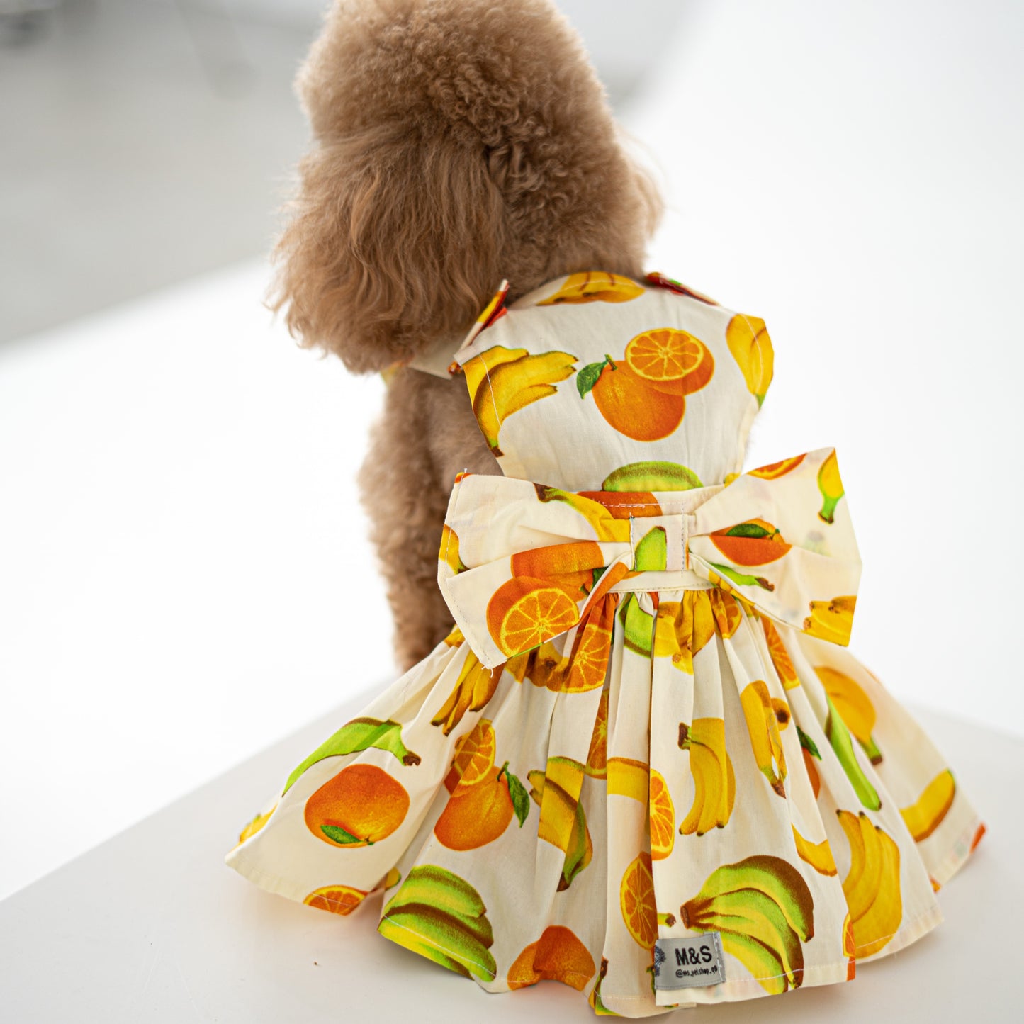 Fruity Dress