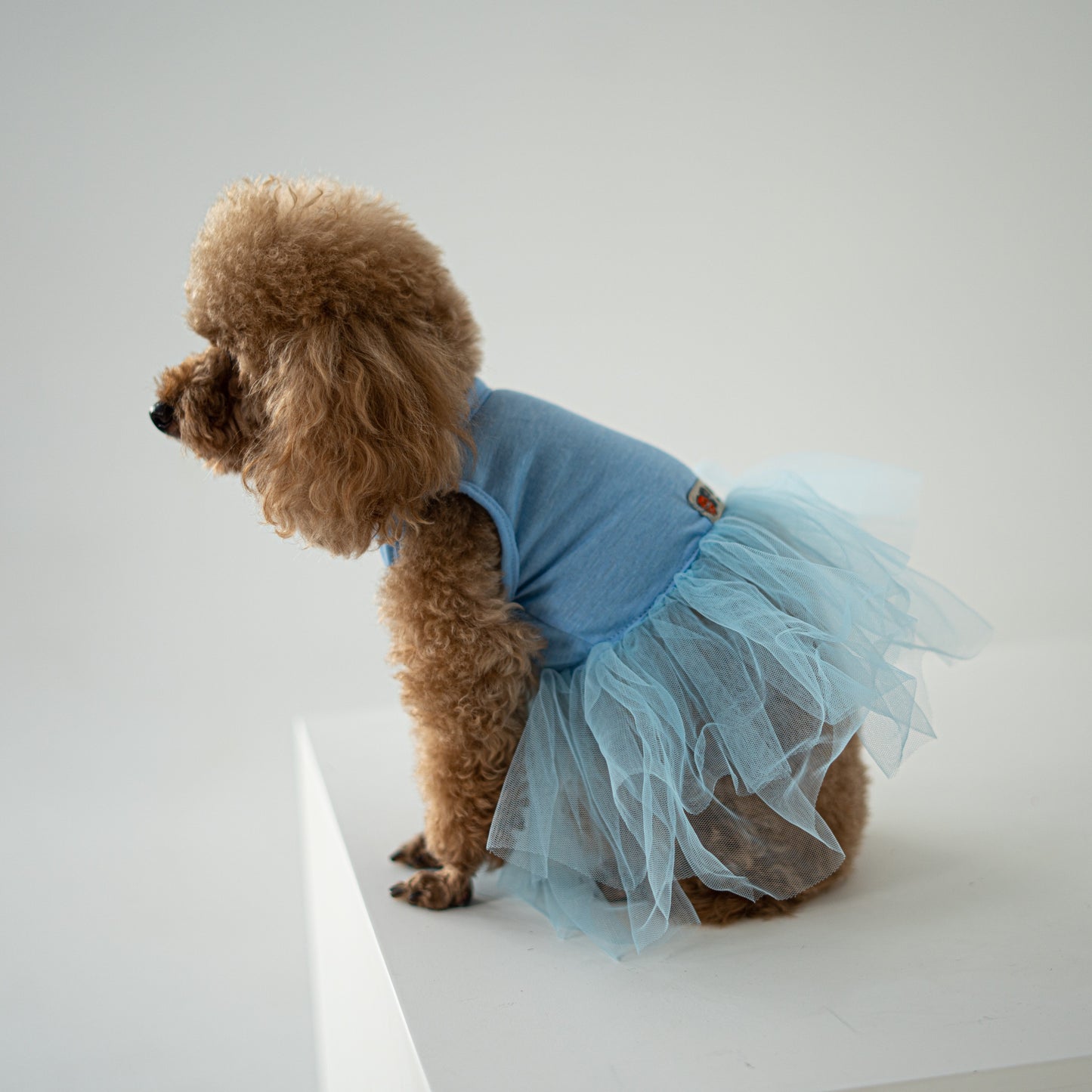 Blue Tutu Dress