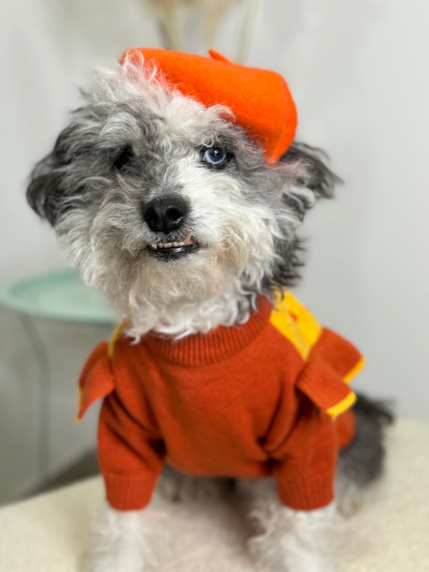 Orange Sweater