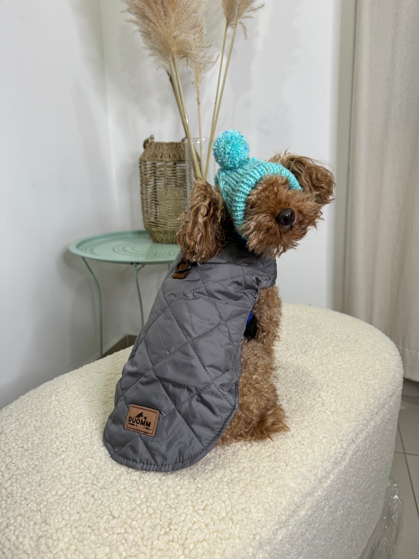 Winter Vest- Waterproof