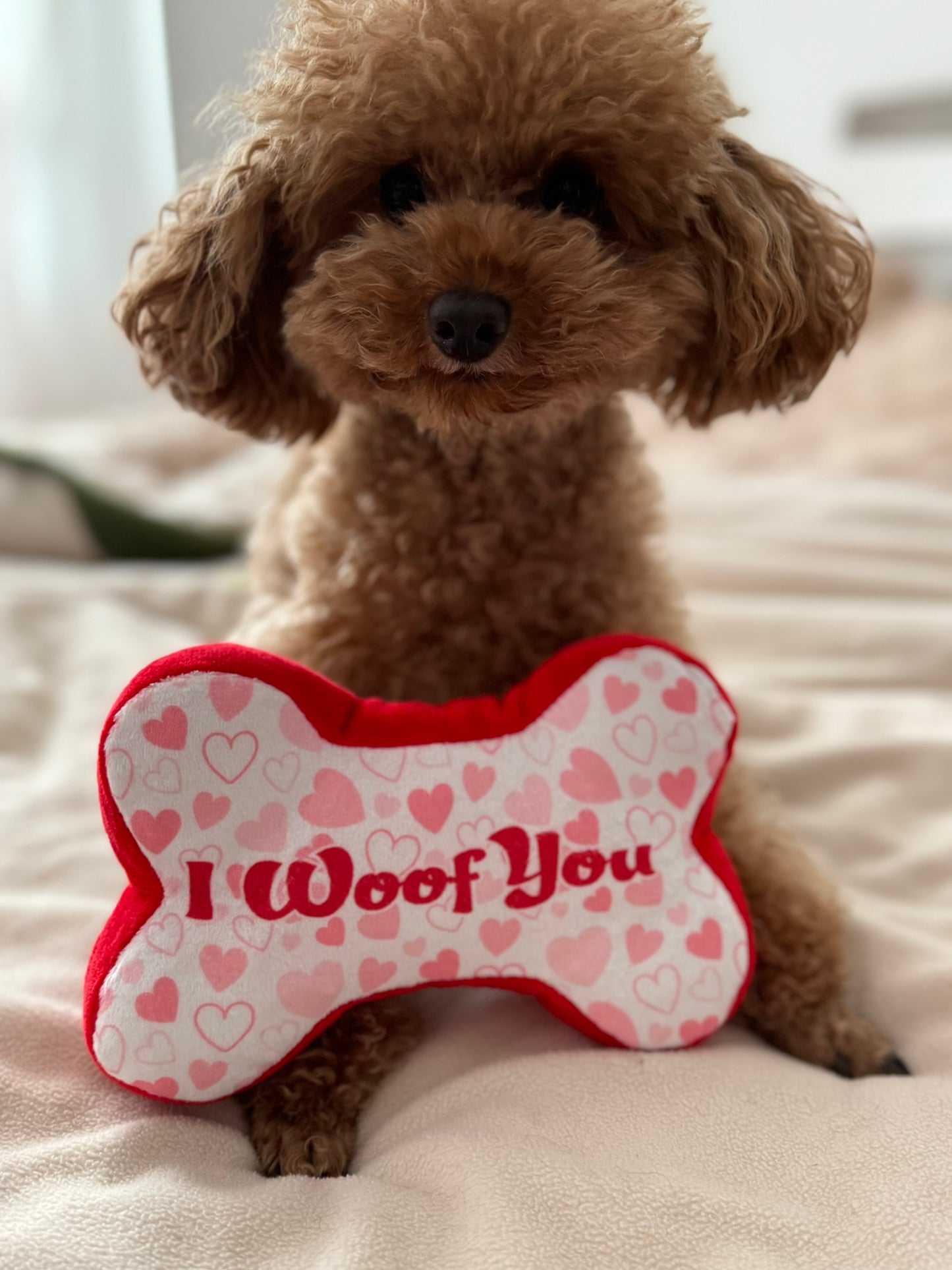 I woof you Toy