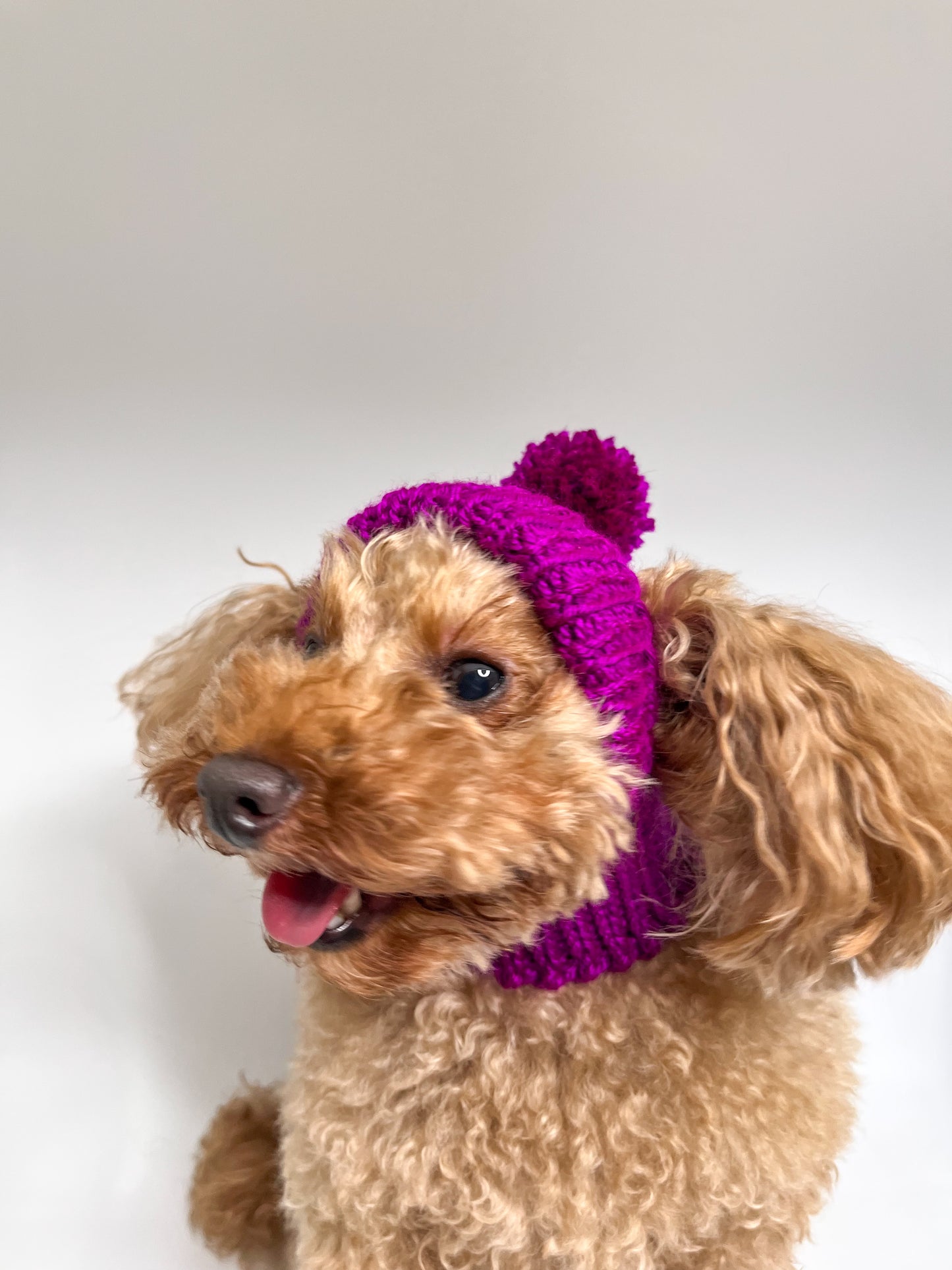 Beanie Purple