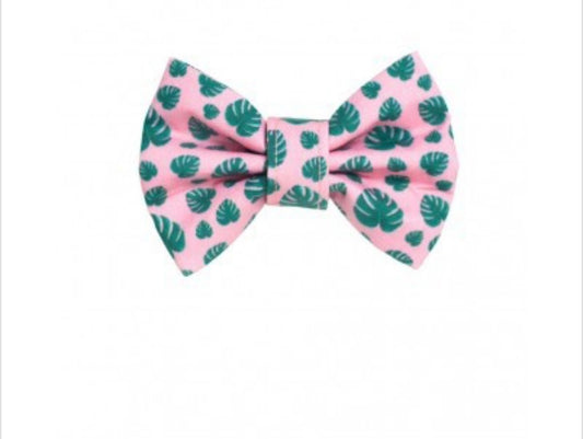 Tropical Bowtie