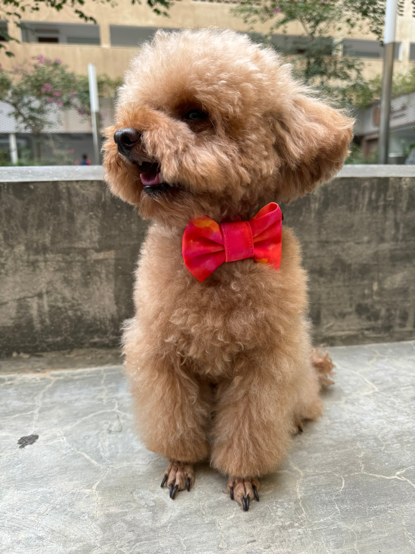 Red Tie Dye Bowtie