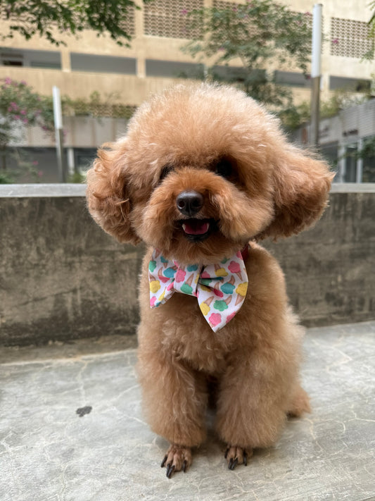 Ice Cream Bowtie