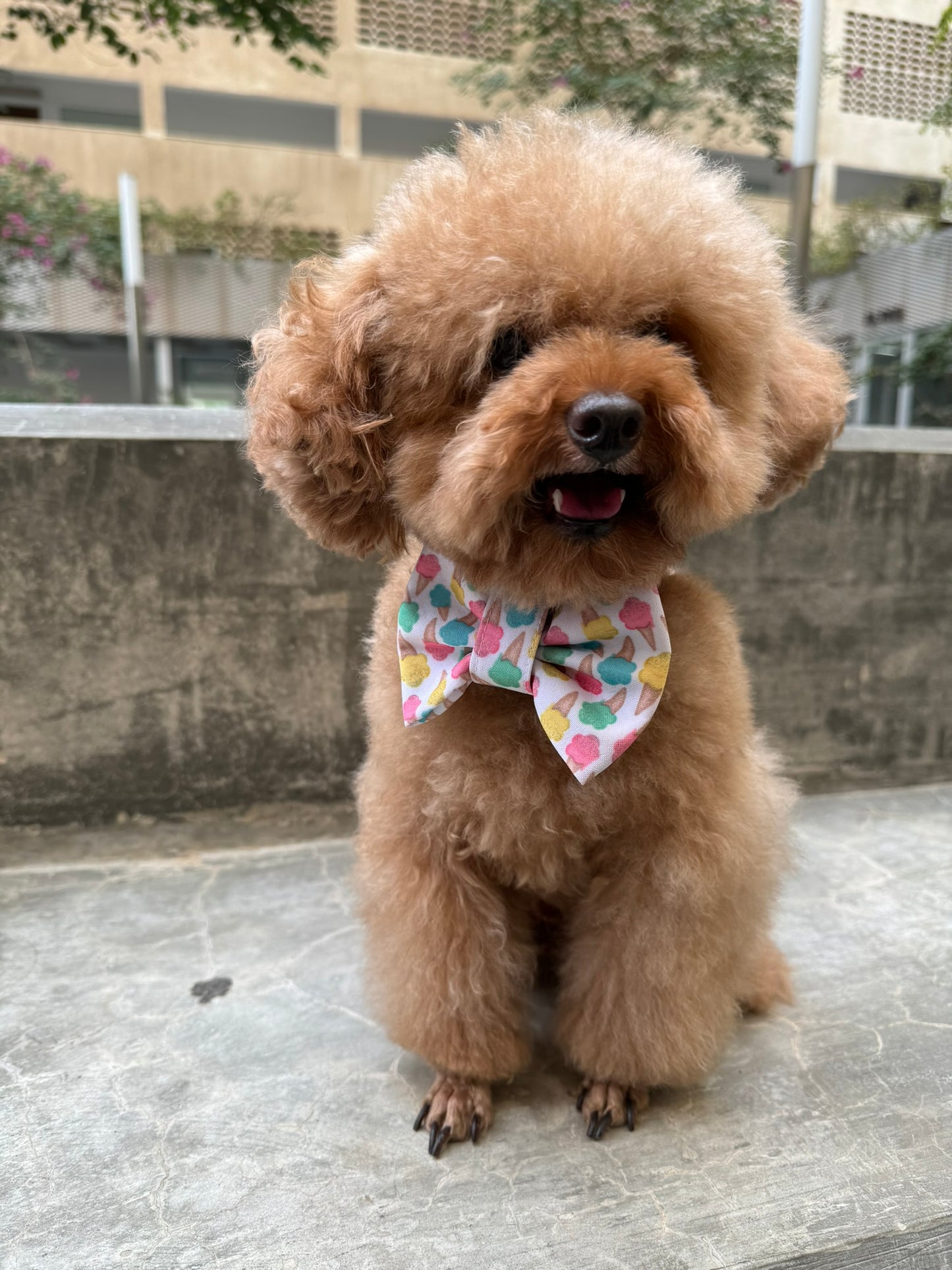 Ice Cream Bowtie