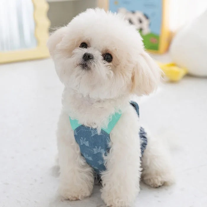 Jeans Harness & Leash Tiffani
