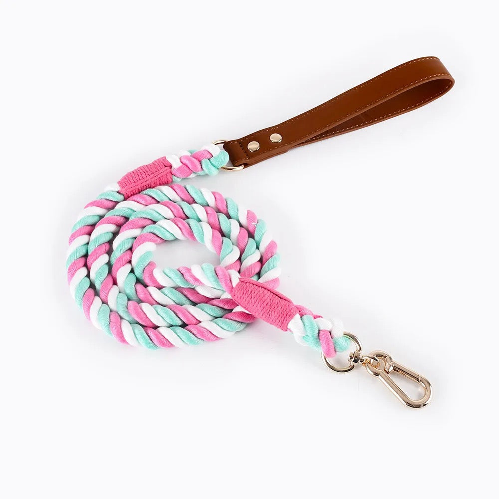 Pink Leash & Collar Set