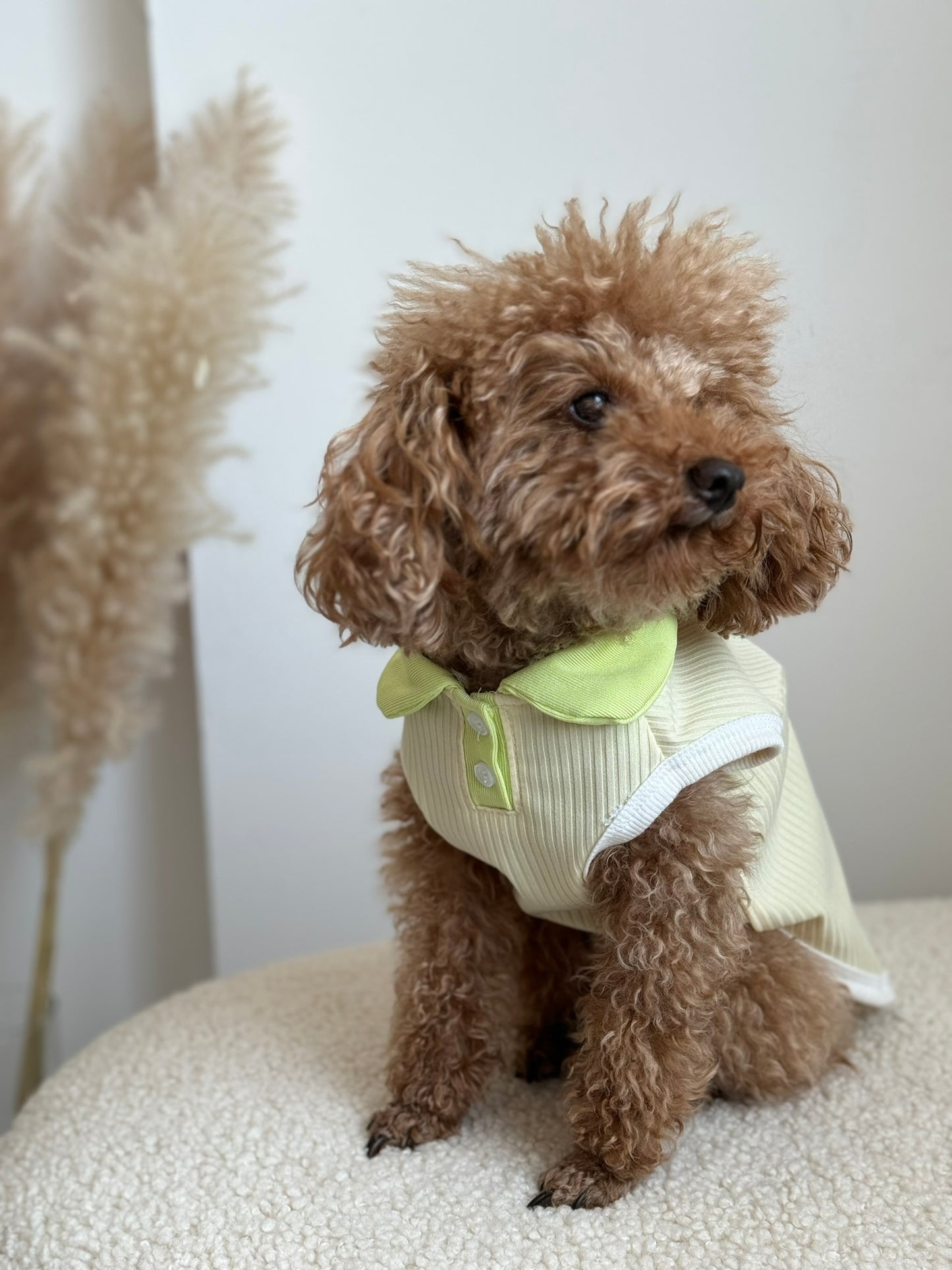 Lime Polo