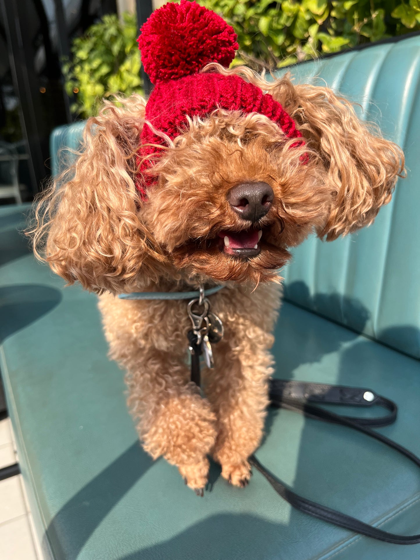 Beanie Red