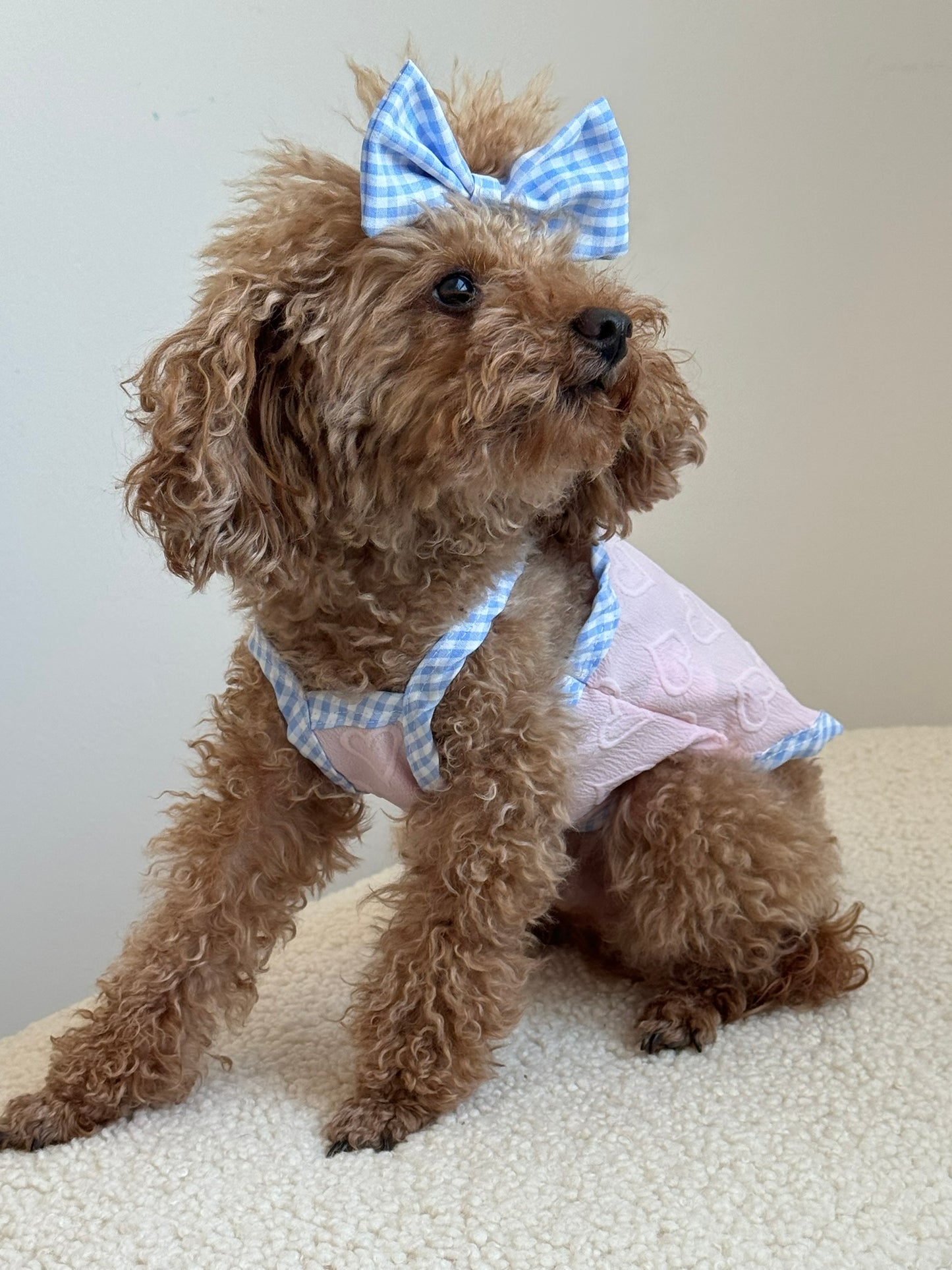 Pink Shirt with Bowtie