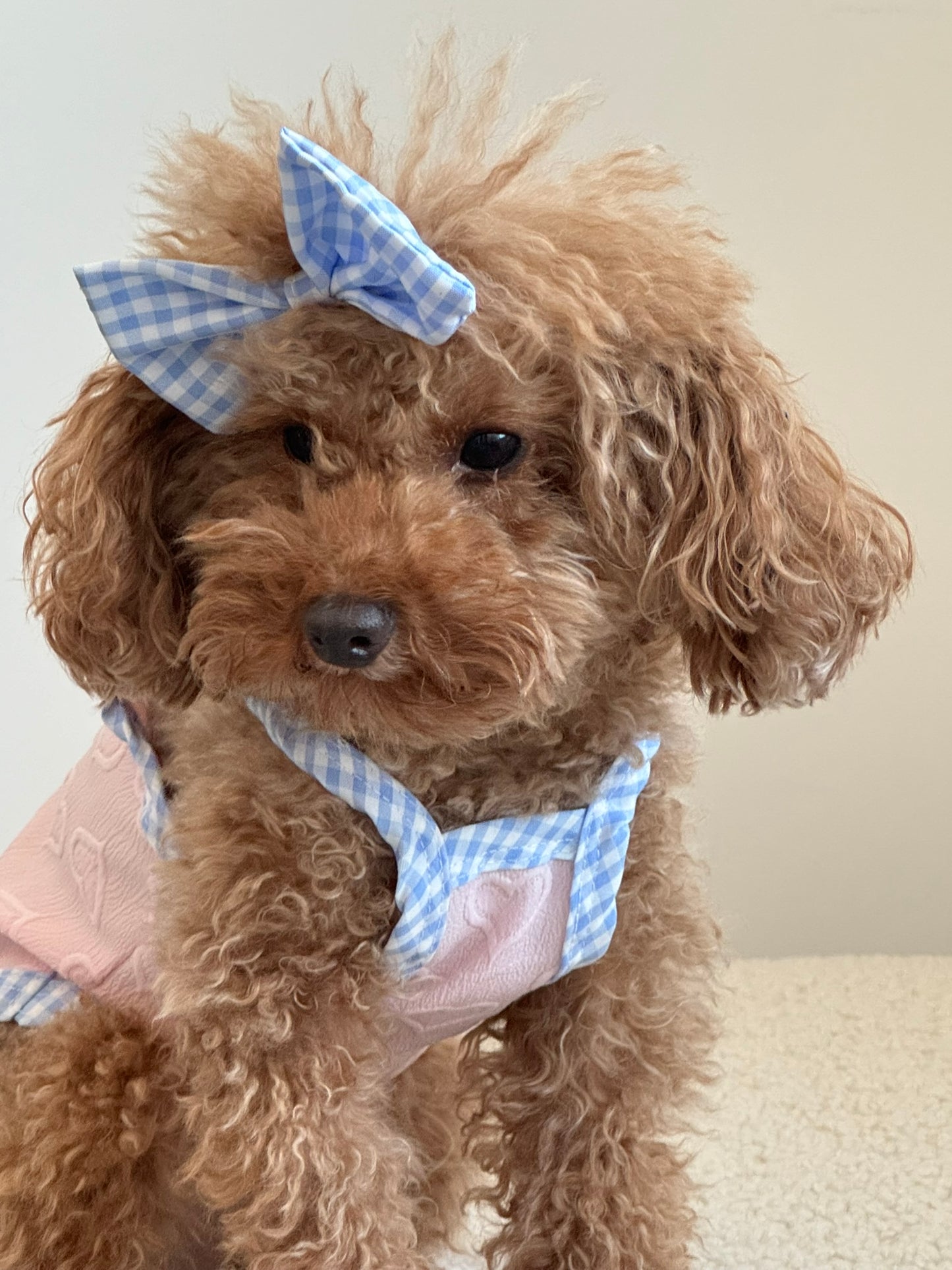 Pink Shirt with Bowtie