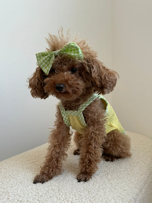 Yellow Shirt with Bowtie