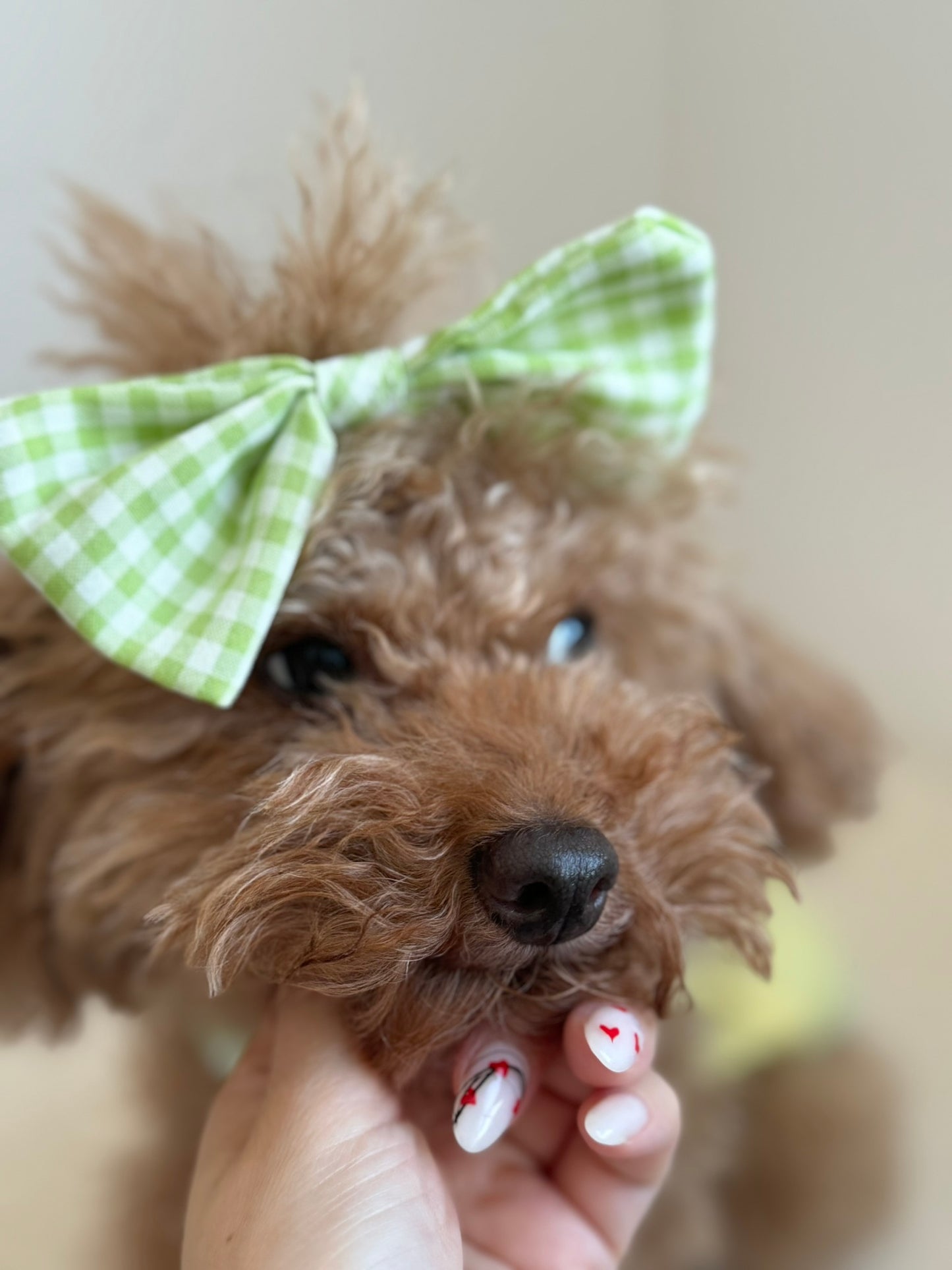 Yellow Shirt with Bowtie