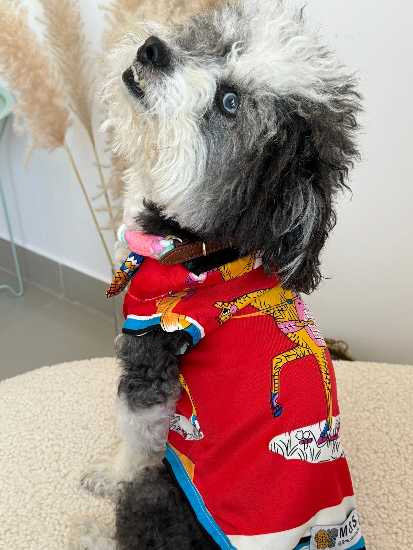 Red Silk Horse Shirt