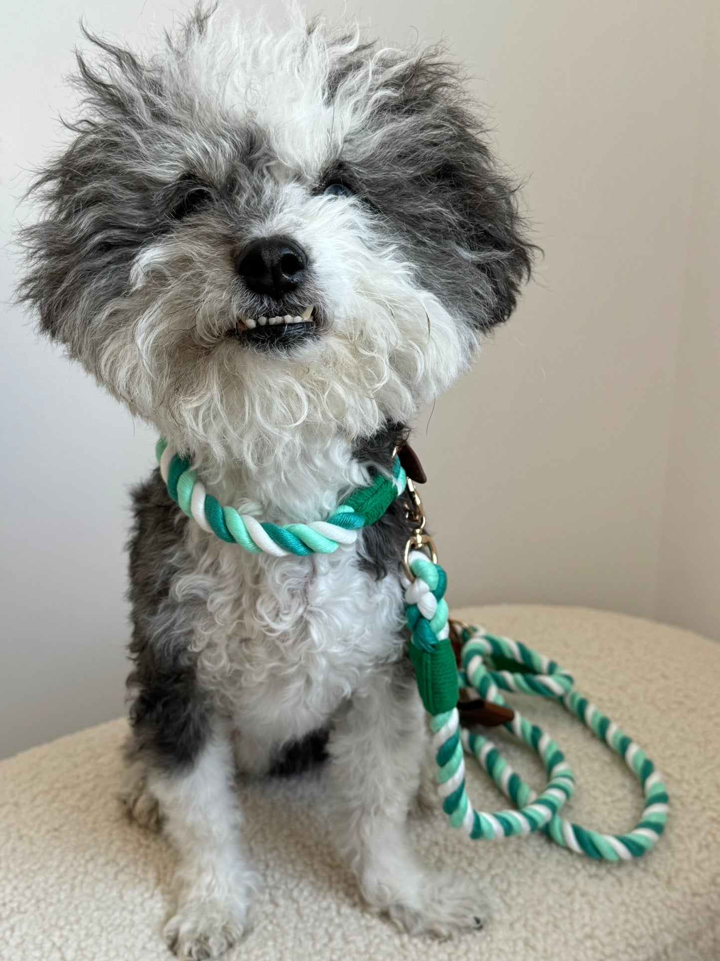 Green Leash & Collar Set