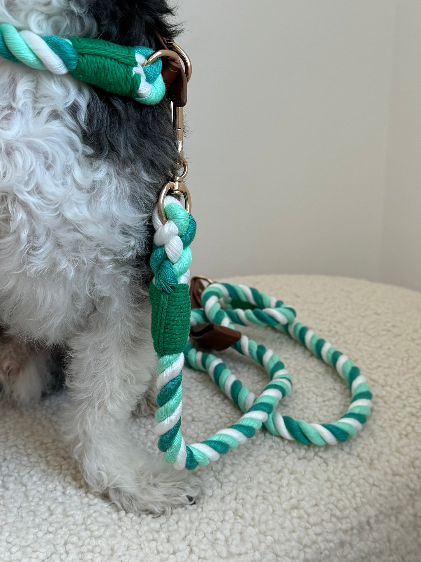 Green Leash & Collar Set