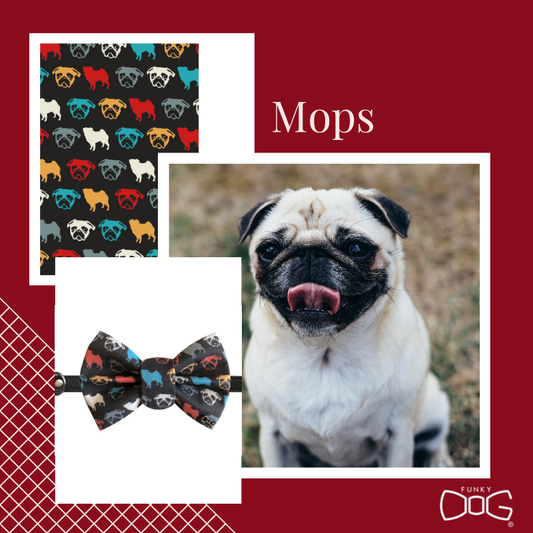 Pug Bowtie