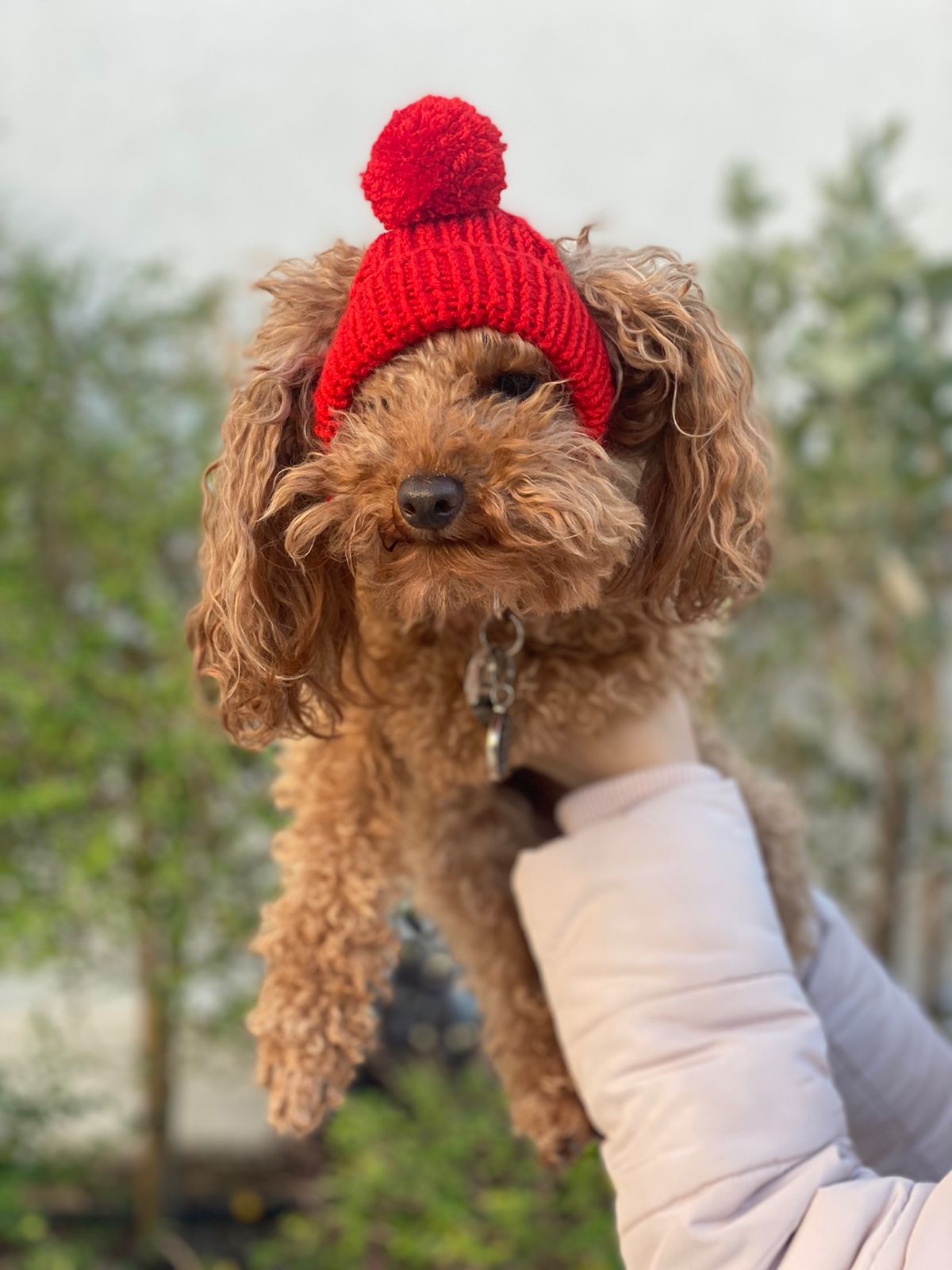 Beanie Red