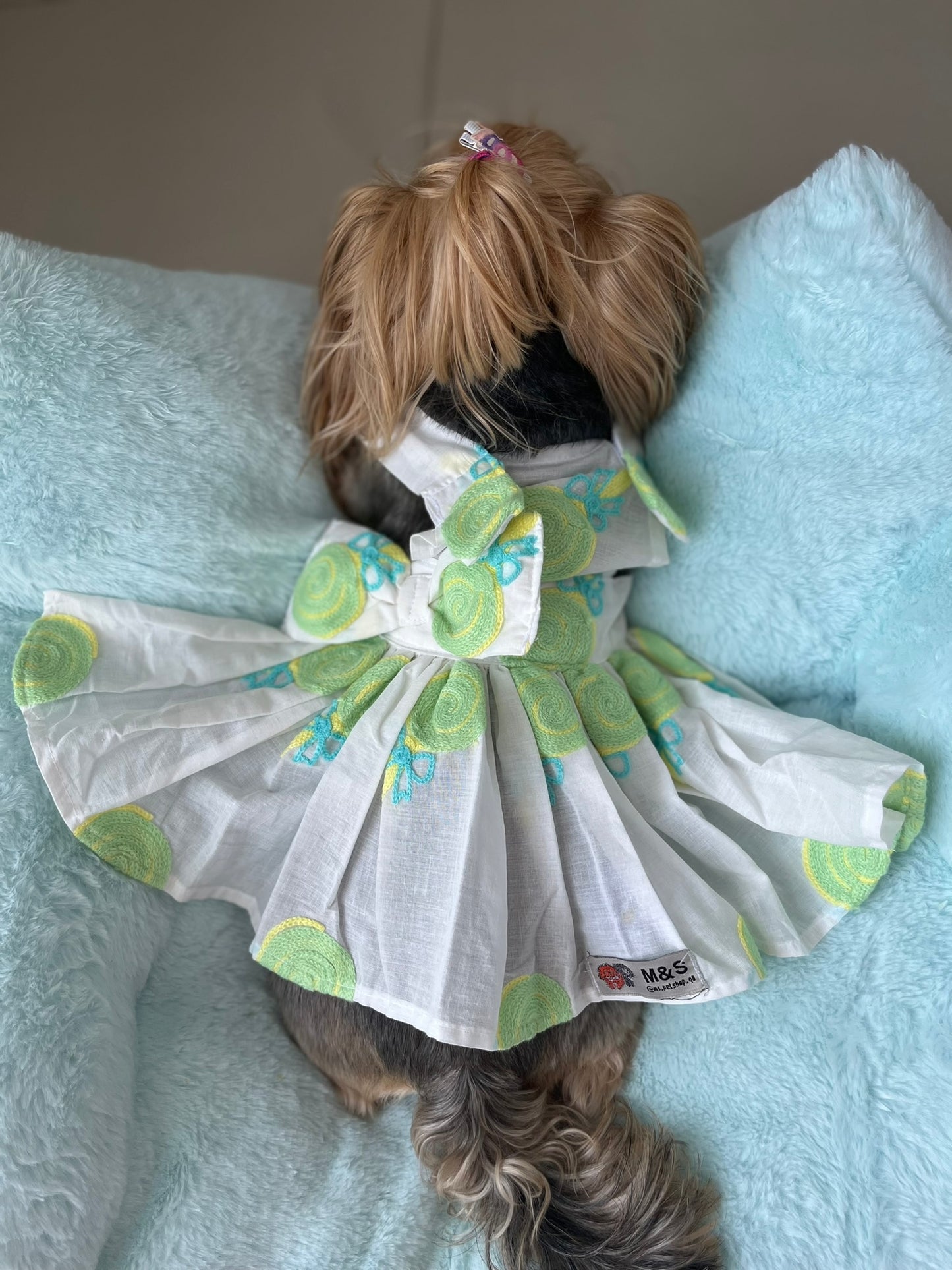 White & Green Dress