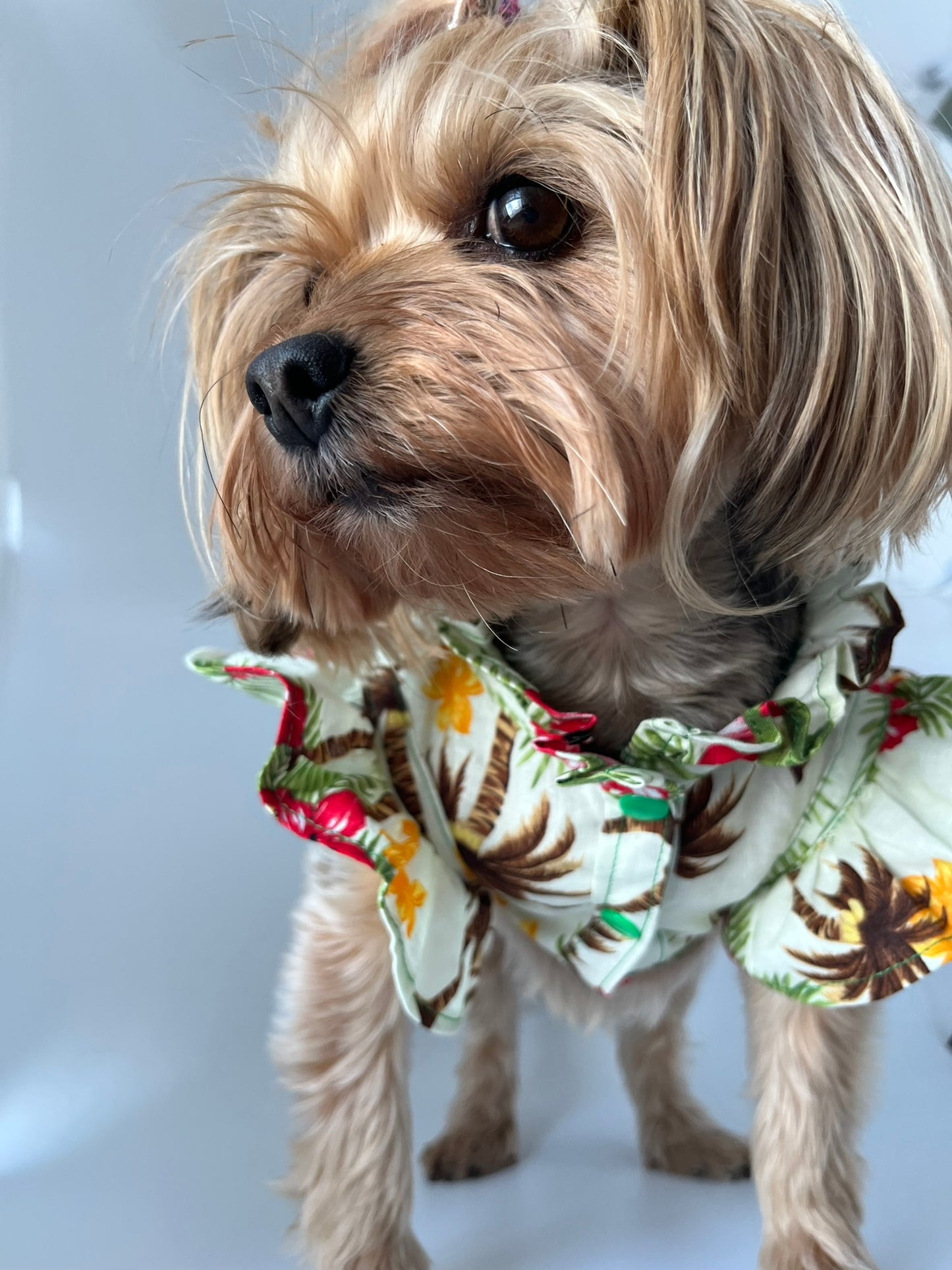 Tropical Harness Jacket