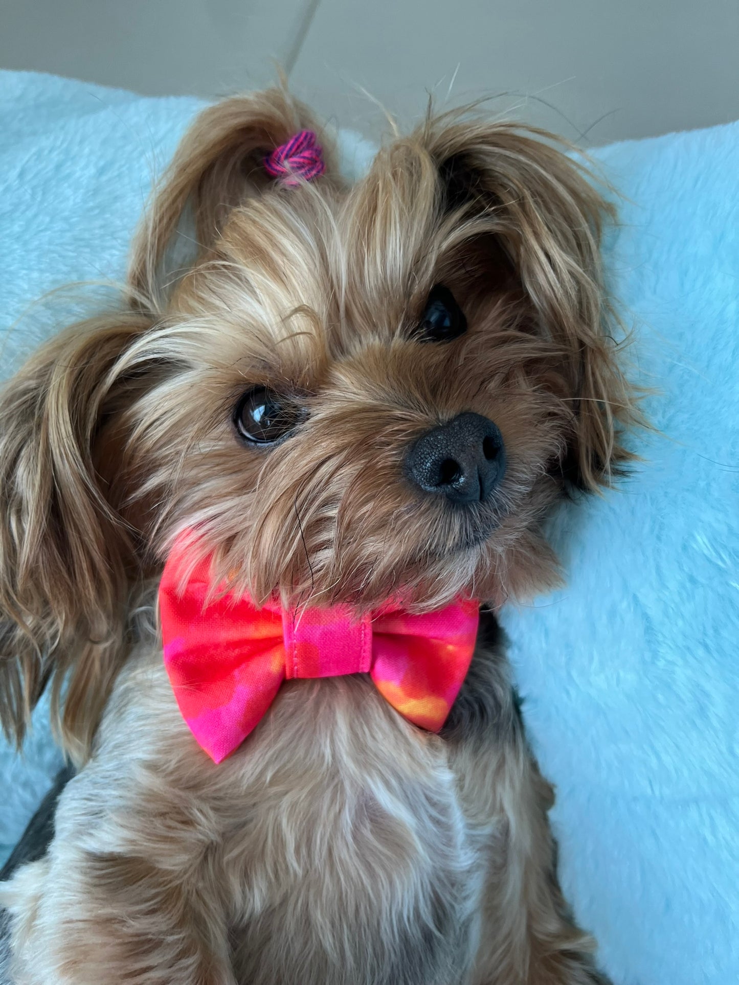 Red Tie Dye Bowtie